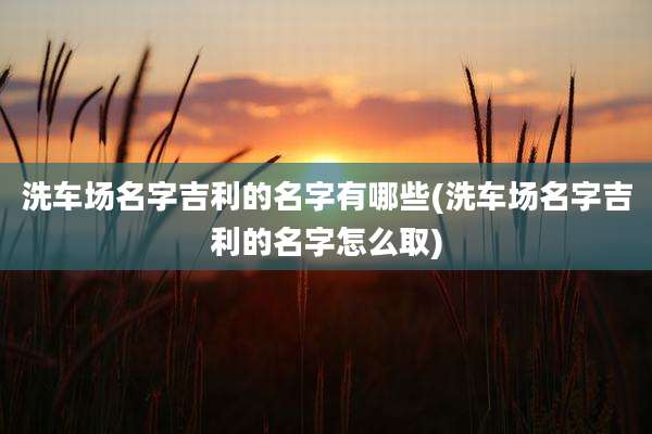 洗车场名字吉利的名字有哪些(洗车场名字吉利的名字怎么取)