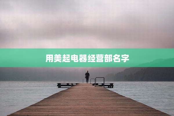 用美起电器经营部名字