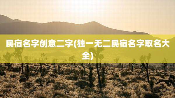 民宿名字创意二字(独一无二民宿名字取名大全)