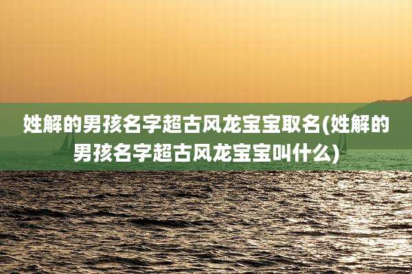 姓解的男孩名字超古风龙宝宝取名(姓解的男孩名字超古风龙宝宝叫什么)