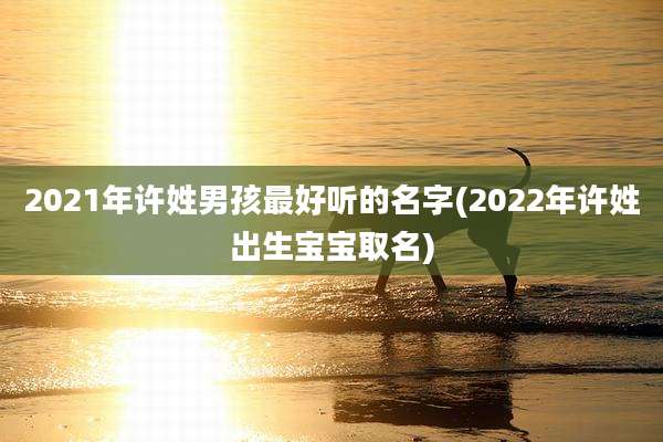 2021年许姓男孩最好听的名字(2022年许姓出生宝宝取名)