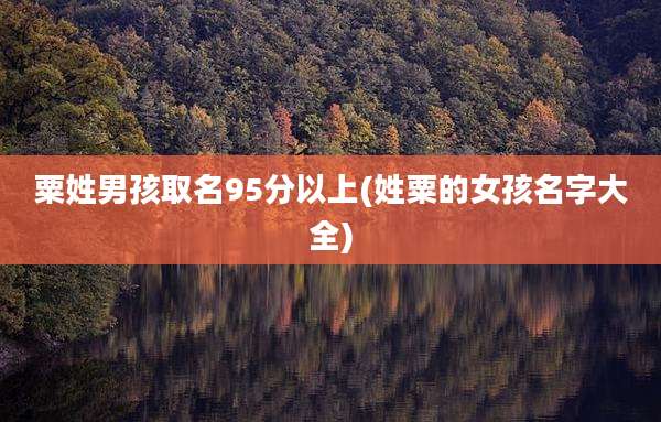 粟姓男孩取名95分以上(姓粟的女孩名字大全)