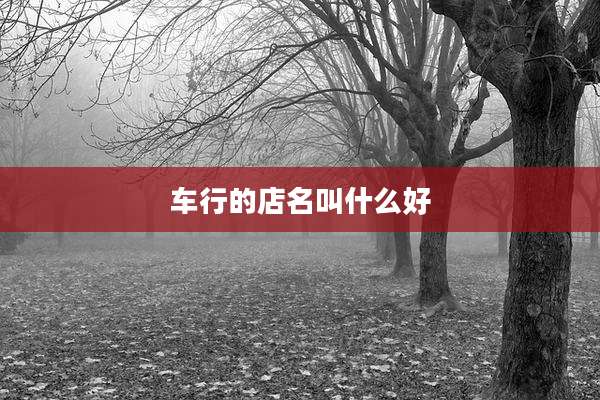 车行的店名叫什么好