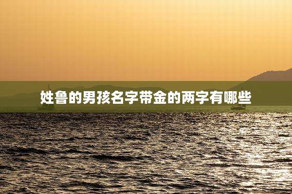 姓鲁的男孩名字带金的两字有哪些