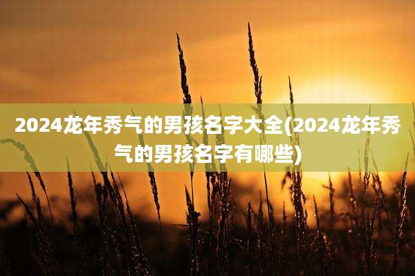 2024龙年秀气的男孩名字大全(2024龙年秀气的男孩名字有哪些)