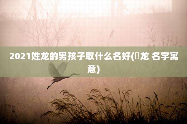 2021姓龙的男孩子取什么名好(沄龙 名字寓意)