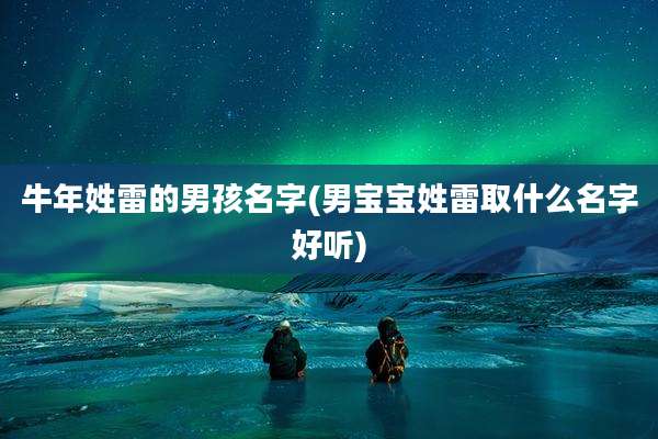 牛年姓雷的男孩名字(男宝宝姓雷取什么名字好听)
