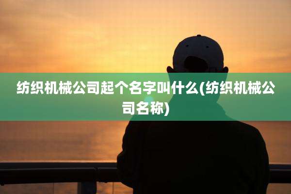 纺织机械公司起个名字叫什么(纺织机械公司名称)