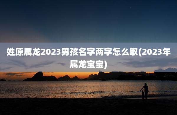 姓原属龙2023男孩名字两字怎么取(2023年属龙宝宝)