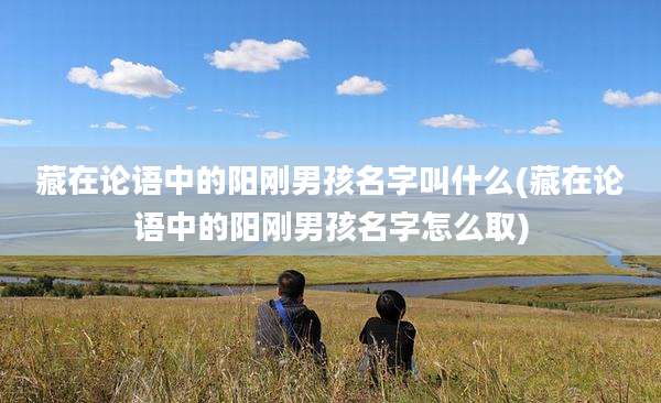 藏在论语中的阳刚男孩名字叫什么(藏在论语中的阳刚男孩名字怎么取)