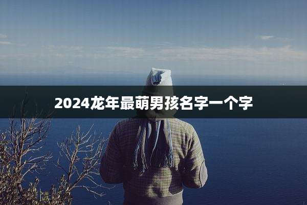 2024龙年最萌男孩名字一个字