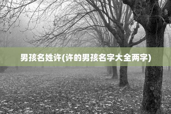 男孩名姓许(许的男孩名字大全两字)