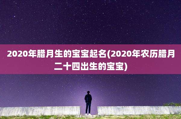 2020年腊月生的宝宝起名(2020年农历腊月二十四出生的宝宝)