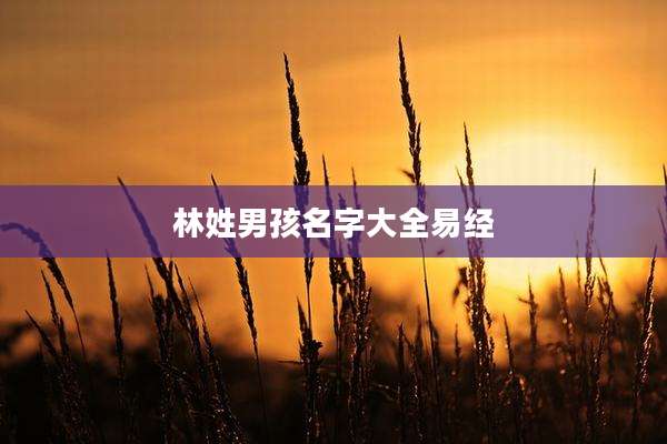 林姓男孩名字大全易经