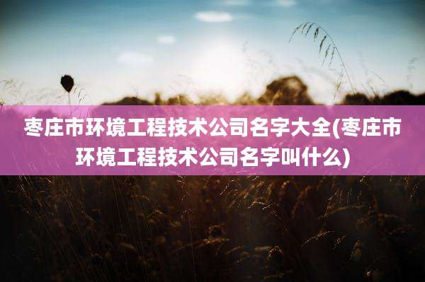 枣庄市环境工程技术公司名字大全(枣庄市环境工程技术公司名字叫什么)