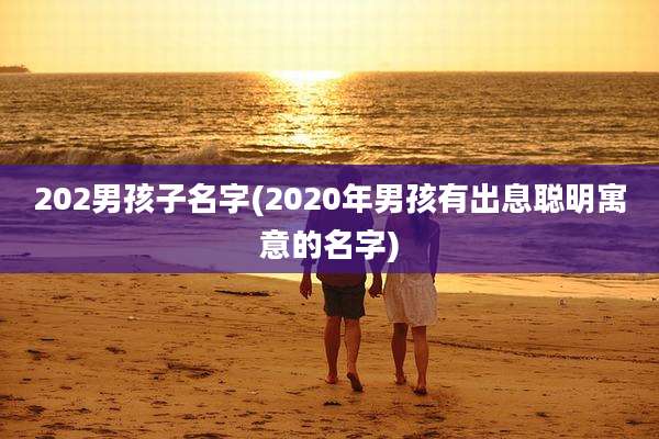 202男孩子名字(2020年男孩有出息聪明寓意的名字)