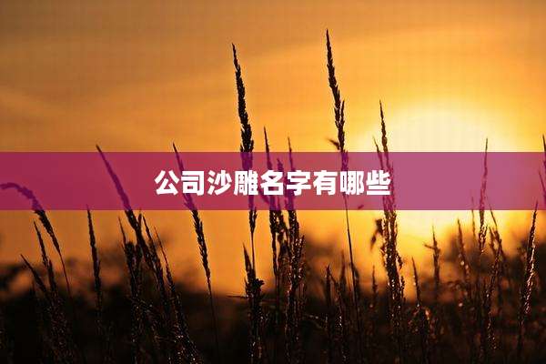 公司沙雕名字有哪些