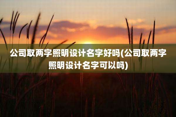 公司取两字照明设计名字好吗(公司取两字照明设计名字可以吗)