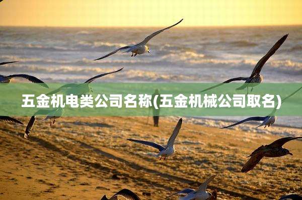 五金机电类公司名称(五金机械公司取名)