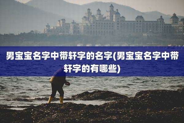 男宝宝名字中带轩字的名字(男宝宝名字中带轩字的有哪些)