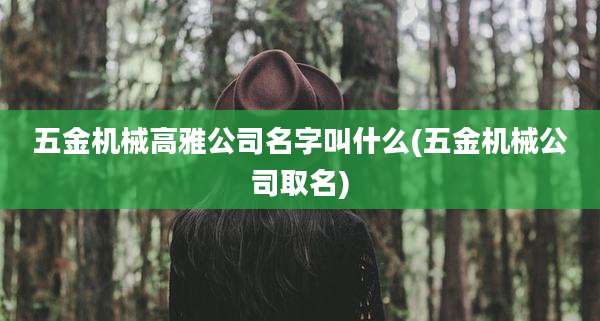 五金机械高雅公司名字叫什么(五金机械公司取名)