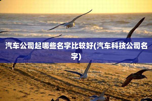 汽车公司起哪些名字比较好(汽车科技公司名字)