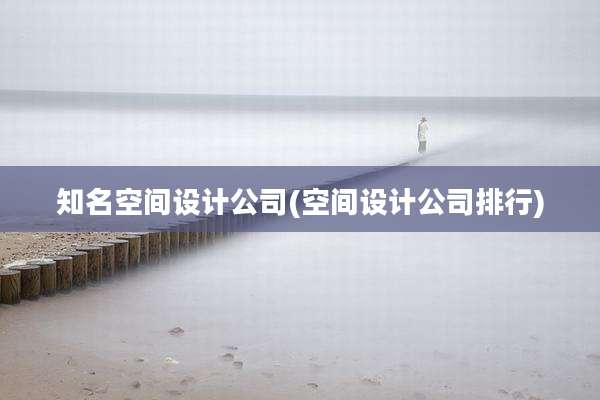 知名空间设计公司(空间设计公司排行)
