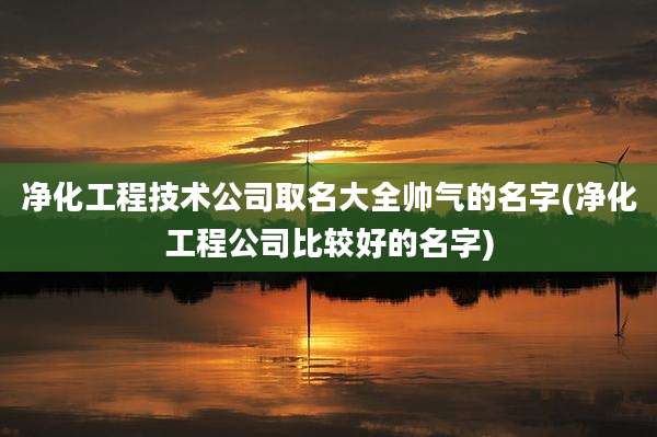 净化工程技术公司取名大全帅气的名字(净化工程公司比较好的名字)
