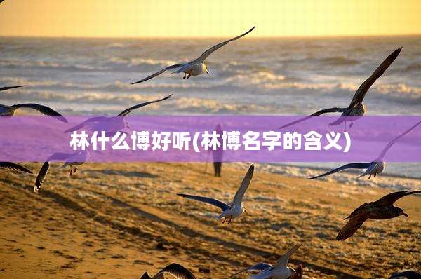 林什么博好听(林博名字的含义)