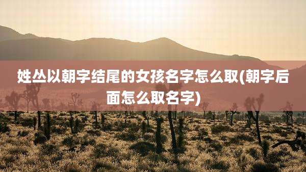 姓丛以朝字结尾的女孩名字怎么取(朝字后面怎么取名字)