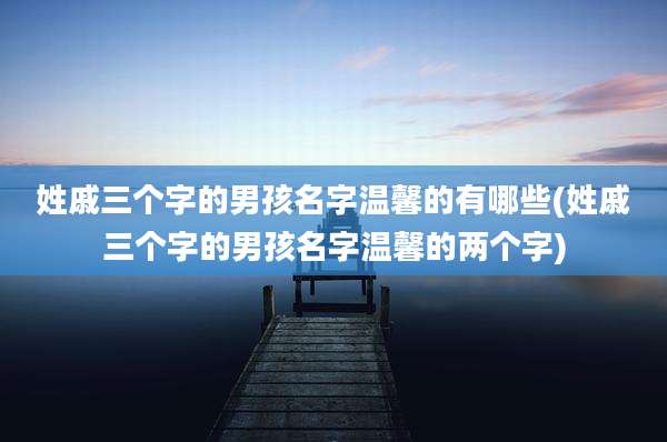 姓戚三个字的男孩名字温馨的有哪些(姓戚三个字的男孩名字温馨的两个字)