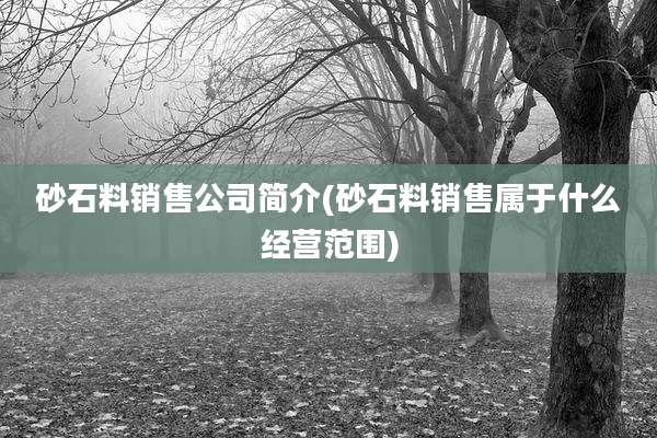 砂石料销售公司简介(砂石料销售属于什么经营范围)