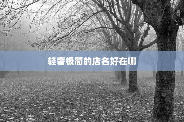 轻奢极简的店名好在哪