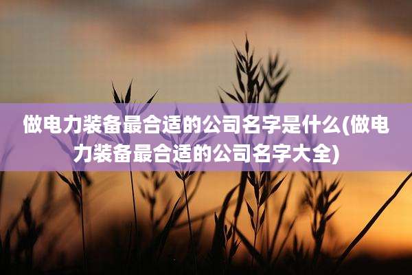 做电力装备最合适的公司名字是什么(做电力装备最合适的公司名字大全)