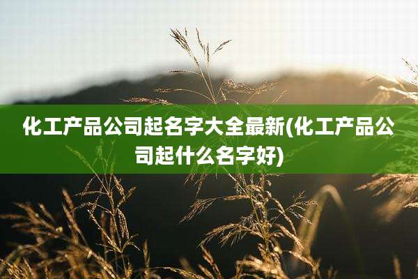 化工产品公司起名字大全最新(化工产品公司起什么名字好)