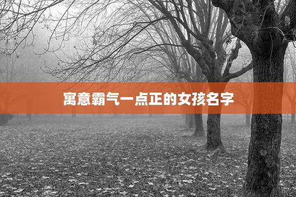 寓意霸气一点正的女孩名字