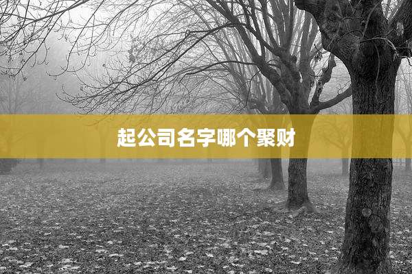 起公司名字哪个聚财