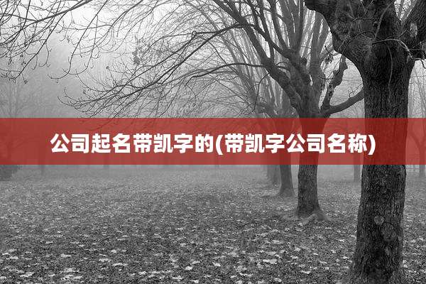 公司起名带凯字的(带凯字公司名称)