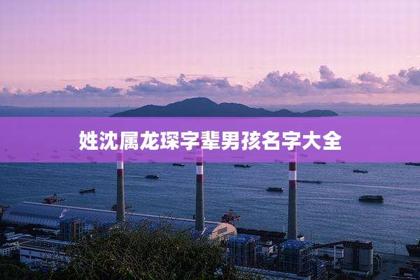 姓沈属龙琛字辈男孩名字大全