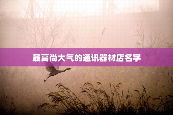 最高尚大气的通讯器材店名字