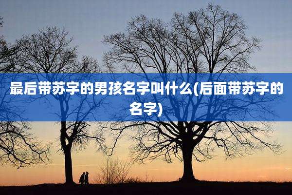 最后带苏字的男孩名字叫什么(后面带苏字的名字)