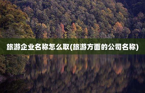 旅游企业名称怎么取(旅游方面的公司名称)