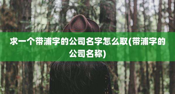 求一个带浦字的公司名字怎么取(带浦字的公司名称)