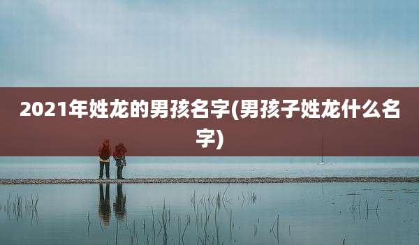 2021年姓龙的男孩名字(男孩子姓龙什么名字)