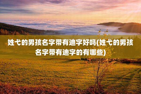 姓弋的男孩名字带有迪字好吗(姓弋的男孩名字带有迪字的有哪些)
