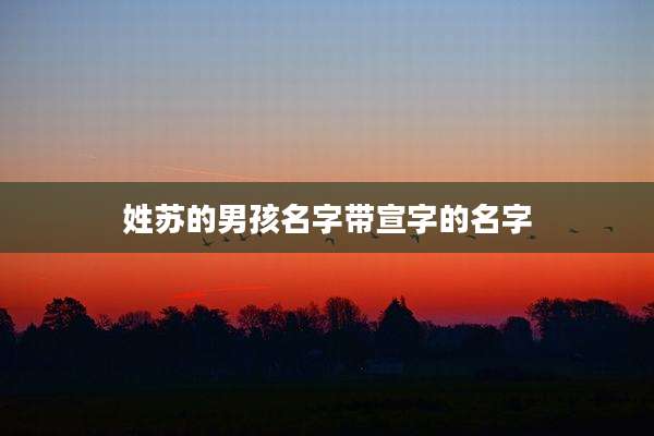 姓苏的男孩名字带宣字的名字
