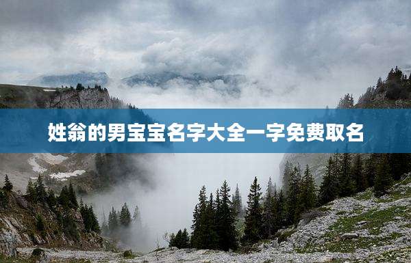 姓翁的男宝宝名字大全一字免费取名