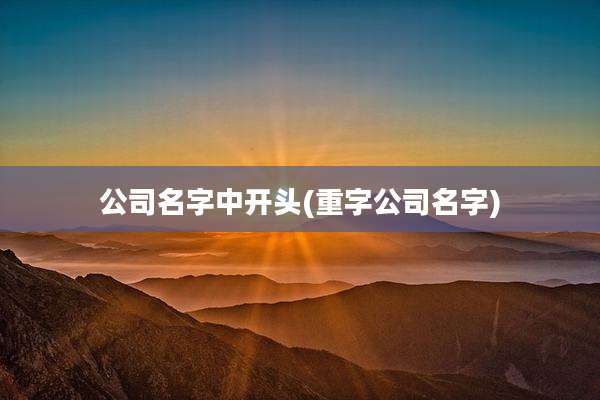 公司名字中开头(重字公司名字)