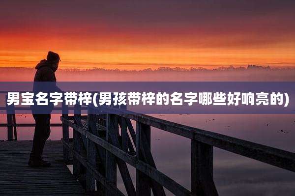 男宝名字带梓(男孩带梓的名字哪些好响亮的)
