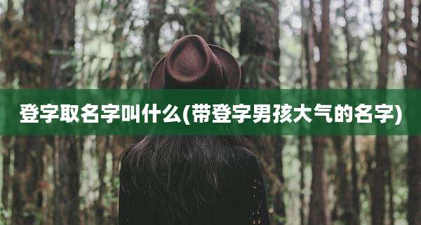 登字取名字叫什么(带登字男孩大气的名字)
